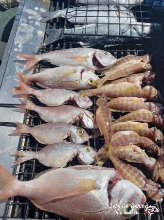 Chania Fishing Trips, Greece. Let's Go Fishing